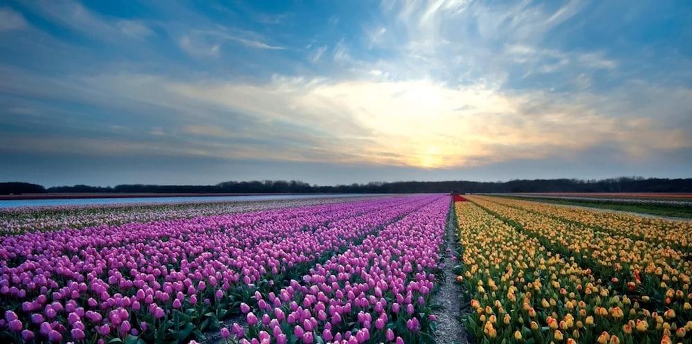Fletcher Badhotel Egmond Aan Zee Dış mekan fotoğraf